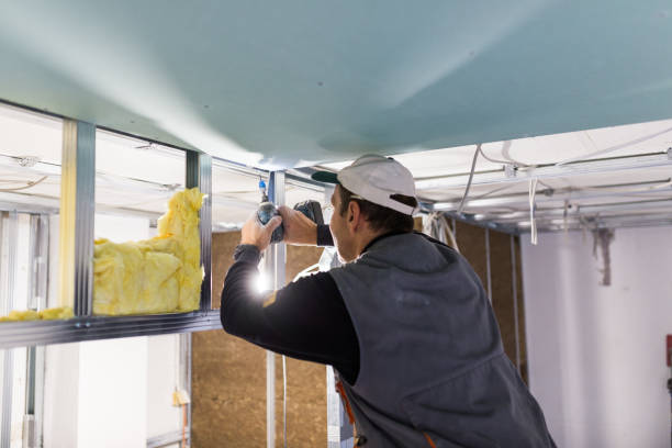 Best Wall Insulation Installation  in Coldwater, MI